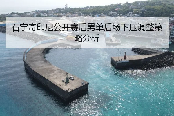 石宇奇印尼公开赛后男单后场下压调整策略分析