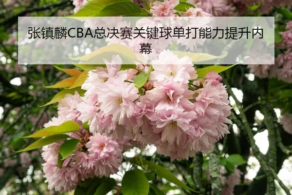 zhang-zhen-lin-zong-jue-sai-guan-jian-qiu-dan-da-neng-li-ti-sheng-nei-mu-3-947.jpg